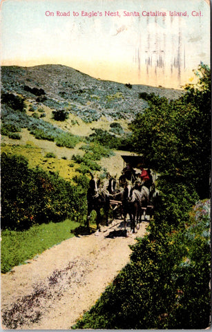 CA, SANTA CATALINA ISLAND - Road to Eagles Nest, horse & buggy postcard - C08223