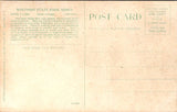 WI, DEVILS LAKE - Castle Rock - WI State Park Series postcard - C08413