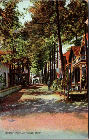 MA, Lake Pleasant - Montague Street with flags, people, horse drawn wagon postca