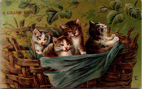 Animal - Cat or Cats postcard - GRAND VIEW - Kittens, basket - CP0091