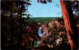 WY, YELLOWSTONE - Lower Falls, Yellowstone Park postcard - CP0569