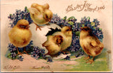 Easter - 5 baby chicks - Easter Joy attend you postcard - CP0793