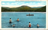 NY, PINE LAKE - people swimming, floating dock - vintage postcard - CR0259