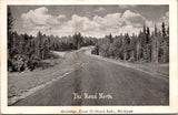 MI, HUBBARD LAKE- Greetings from, showing the road North postcard - CR0435