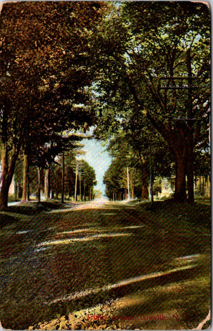 NY, LOWVILLE - Trinity Ave - 1907 postcard - D04381