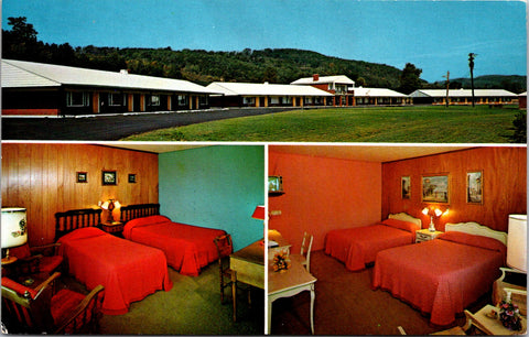 NY, HORSEHEADS - Hickory House Motor Lodge, restaurant postcard - D05312