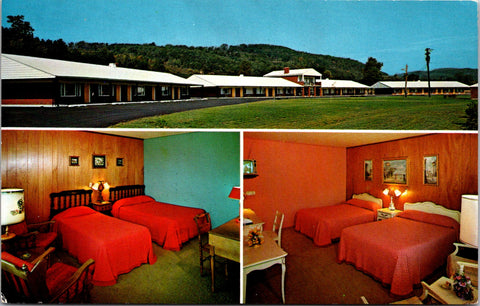 NY, Horseheads - Hickory House Motor Lodge, restaurant postcard - D05312