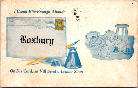MA, Roxbury - Can't write enough about Roxbury postcard - D05320