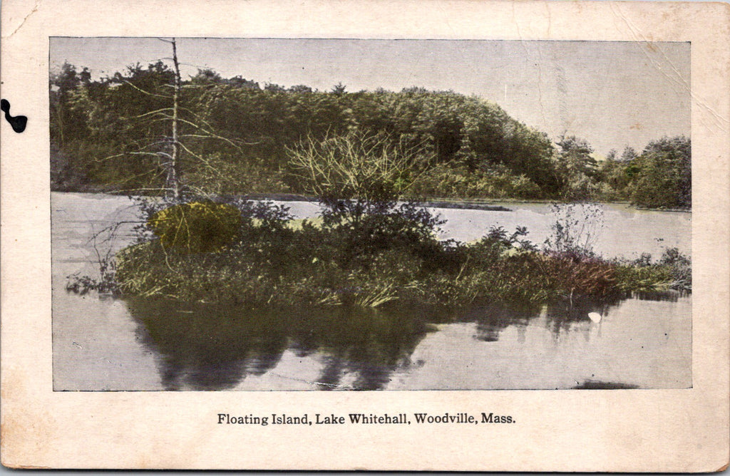 MA, WOODVILLE - Lake Whitehall, floating island - F W Swallow postcard - D08314