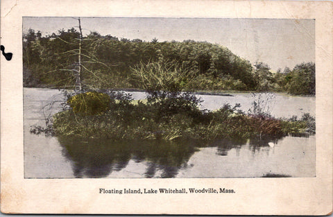 MA, WOODVILLE - Lake Whitehall, floating island - F W Swallow postcard - D08314