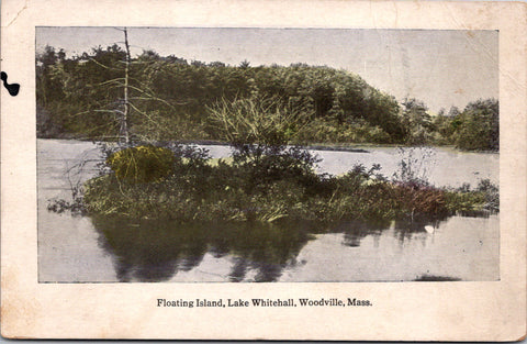 MA, Woodville - Lake Whitehall, floating island - F W Swallow postcard - D08314