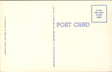 NY, ELLICOTTVILLE - Holy Name of Mary Church postcard - D17127