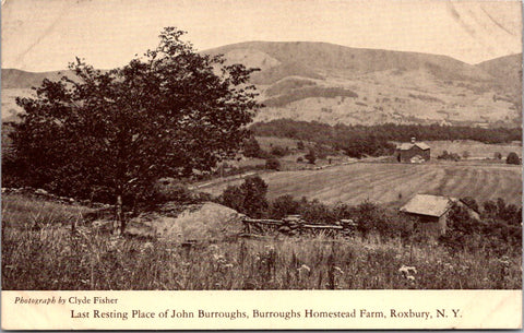 NY, ROXBURY - Burroughs Homestead, John Burroughs resting place postcard - D17420