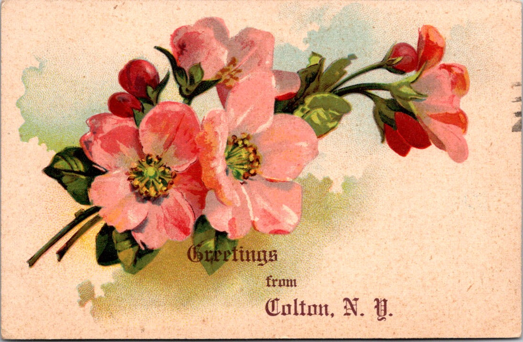 NY, COLTON - Greetings from - @1907 postcard - D17433