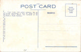 WY, YELLOWSTONE - Trout Creek Trademark, Yellowstone Park postcard - D17439