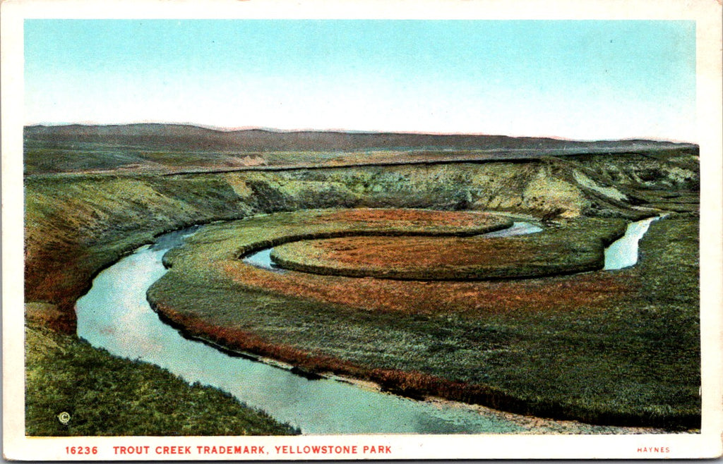 WY, YELLOWSTONE - Trout Creek Trademark, Yellowstone Park postcard - D17439