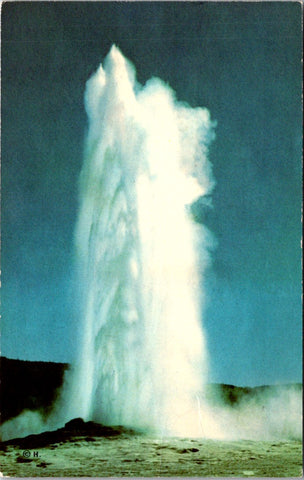 WY, YELLOWSTONE - Old Faithful Geyser, Yellowstone Park postcard - D18032