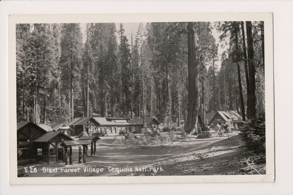 CA, VISALIA - Giant Forest Village, Sequoia Nat'l Park RPPC postcard - D18065