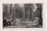 CA, VISALIA - Giant Forest Village, Sequoia Nat'l Park RPPC postcard - D18065