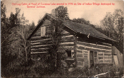 NY, Conesus Lake - Old Log Cabin erected 1779 postcard - DG0015