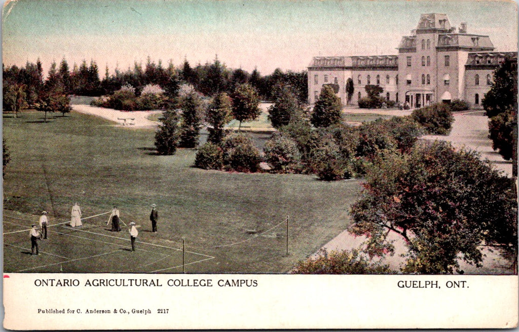 Canada - GUELPH, ON - Ag College Campus, playing tennis? postcard - DG0120