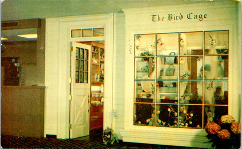 NJ, ATLANTIC CITY - Bird Cage (new) Gift Shop - 1957 postcard - DG0250