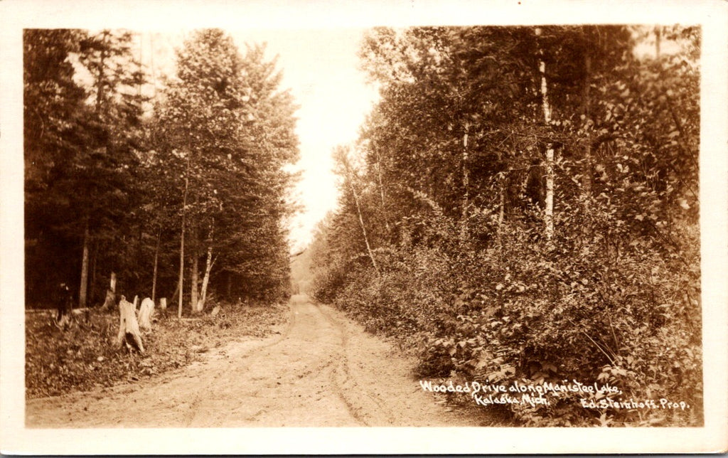 MI, KALASKA - Along Manistee Lake - Ed Steinhoff RPPC - E03050