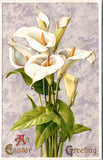 Easter - Large White Calla flowers - Winsch Back postcard - E10261