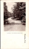NJ, TRENTON - Cadwallader Park scene - old postcard - E23006