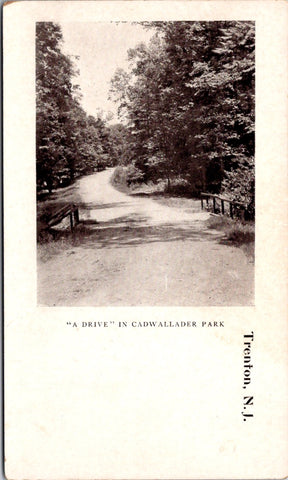 NJ, TRENTON - Cadwallader Park scene - old postcard - E23006