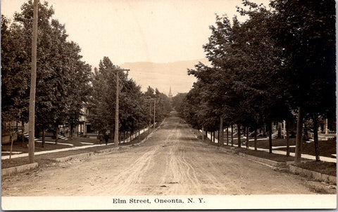 NY, ONEONTA - Elm Street (original SOLD) E23021