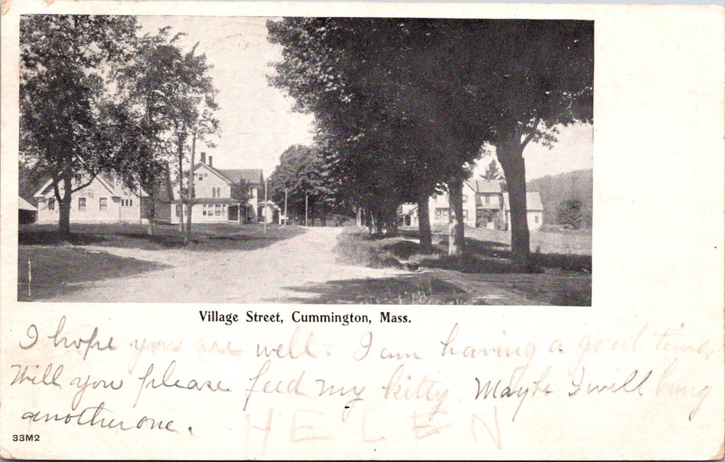 MA, Cummington - Village St with houses - 1906 postcard - E23036