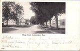 MA, Cummington - Village St with houses - 1906 postcard - E23036