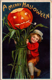 Halloween - A Merry Hallowe'en - Clapsaddle postcard - E23085