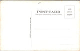 MA, LANCASTER - Lancaster Elm, largest in MA - as if in birch bark postcard - E2