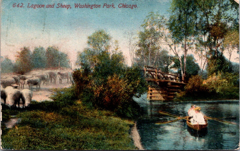 IL, Chicago Illinois - Washington Park, Lagoon, sheep, bridge, canoe postcard