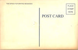 Black Americana - Vintage African American postcard  - E23177