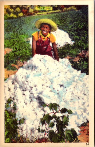 Black Americana - African American lady posing by cotton bolles postcard  - E231