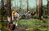 Black Americana - Black workers in woods postcard - E23227