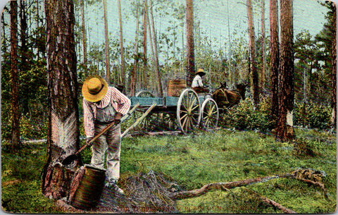 Vintage African American - Black workers in woods postcard - E23227