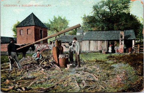 Vintage African American - Grinding & Boiling Sugar Cane postcard - E23228