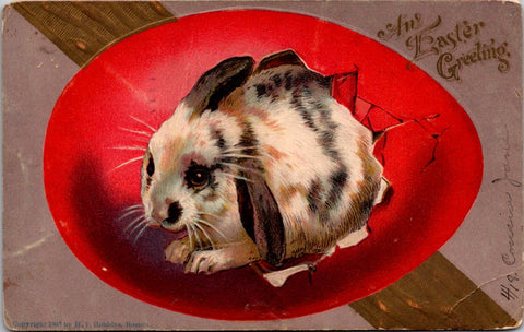 Easter - multi colored rabbit popping thru a large red egg - E23424