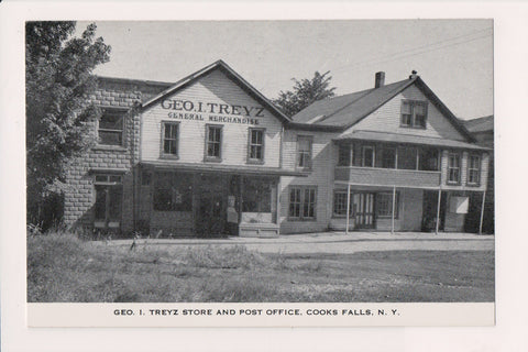 NY, COOKS FALLS - Geo I Treyz Store, Post Office postcard - F09287