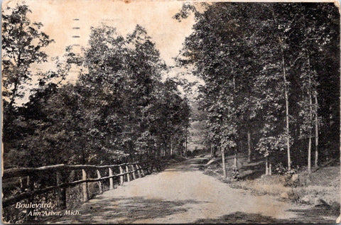 MI, Ann Arbor - Boulevard showing a dirt country road - 1908 postcard - F17413