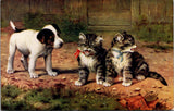 Animal - Cat or Cats postcard - B Cobbe signed - F23002