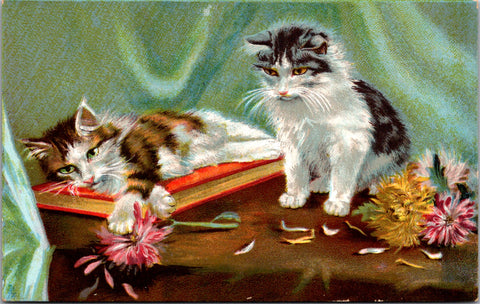 Animal - Cat or Cats postcard - unsigned Boulanger - F23005