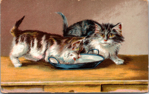 Animal - Cat or Cats postcard - unsigned Boulanger - F23008