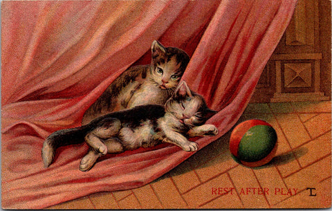 Animal - Cat or Cats postcard - TL or LT signed - F23010