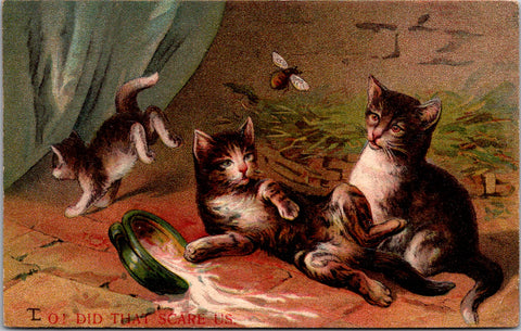 Animal - Cat or Cats postcard - TL or LT signed - F23011