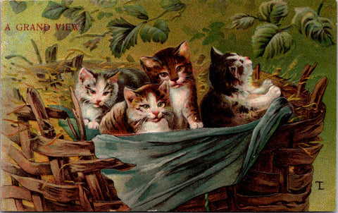Animal - Cat or Cats postcard - TL or LT signed - F23012